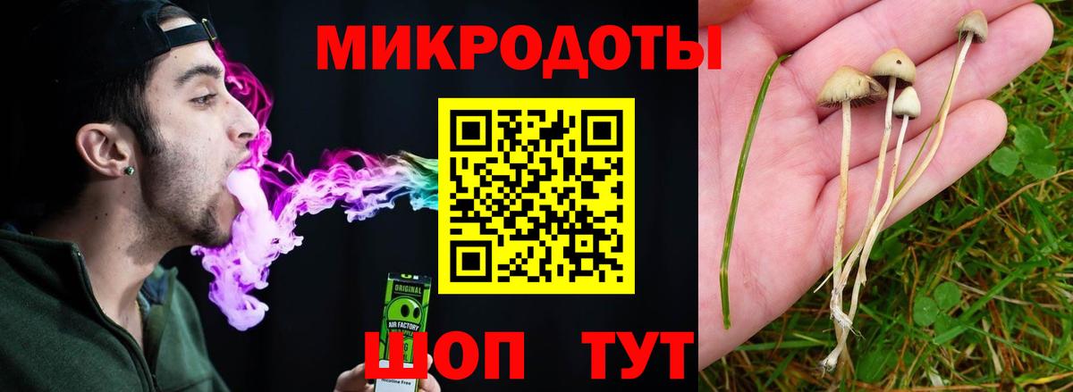 Балашиха  Галлюциногенные грибы мицелий  Псилоцибиновые грибы Psilocybe  наркотики  Вход с VPN 